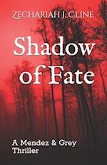 Shadow of Fate: A Mendez & Grey Thriller 