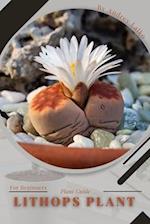 Lithops Plant: Plant Guide 