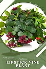 Lipstick Vine Plant: Plant Guide 