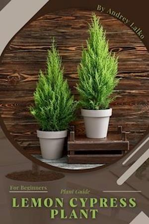 Lemon Cypress Plant: Plant Guide