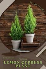 Lemon Cypress Plant: Plant Guide 