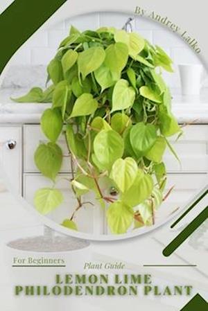 Lemon Lime Philodendron Plant: Plant Guide