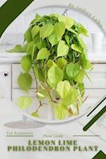 Lemon Lime Philodendron Plant: Plant Guide 