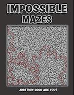 Impossible Mazes: Extremely Hard Puzzles That Will Make You Want To Cheat 