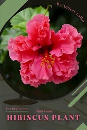 Hibiscus Plant: Plant Guide