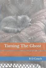 Taming The Ghost 