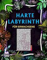 Harte Labyrinthbücher für Erwachsene