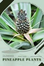 Pineapple Plants: Plant Guide 