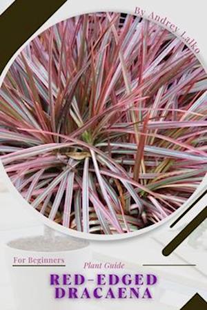 red-edged dracaena: Plant Guide