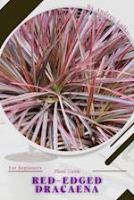 red-edged dracaena: Plant Guide 