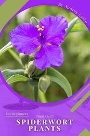 Spiderwort Plants: Plant Guide