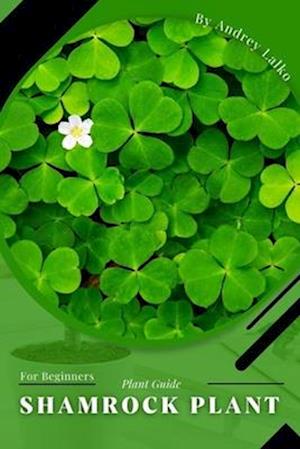 Shamrock Plant: Plant Guide