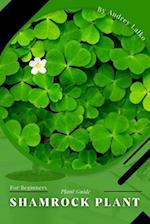 Shamrock Plant: Plant Guide 