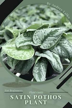 Satin Pothos Plant: Plant Guide