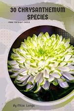 30 Chrysanthemum species: Make the right choice 