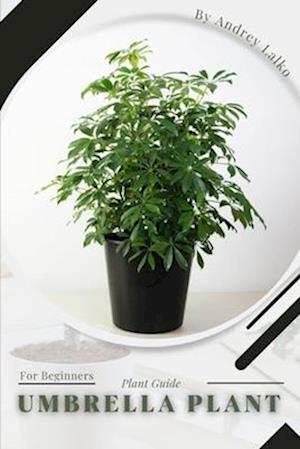 Umbrella plant: Plant Guide