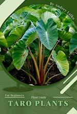 Taro Plants: Plant Guide 