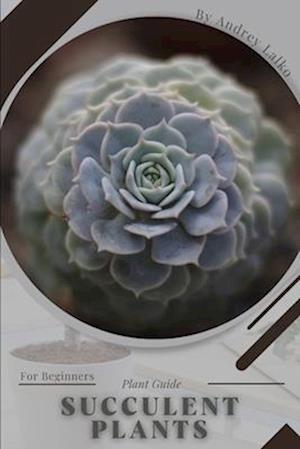 Succulent Plants: Plant Guide