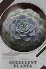 Succulent Plants: Plant Guide 