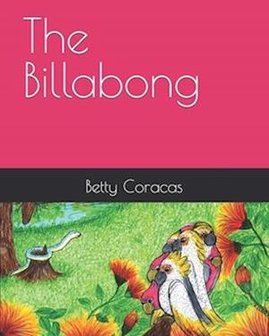 The Billabong