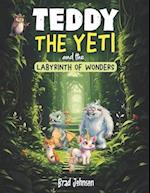 Teddy the Yeti and the Labyrinth of Wonders: Mastering Emotions and Replacing Hitting with Kindness 