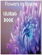 Flowers in Bloom Coloring Book 