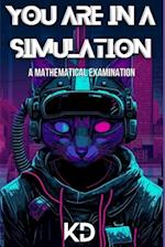 You are in a Simulation : A Mathematical Examination 