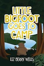 Little Bigfoot Goes to Camp 