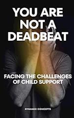 You Are Not a Deadbeat: Facing the Challenges of Child Support 