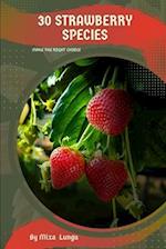 30 Strawberry species: Make the right choice 