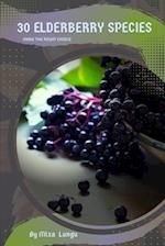 30 Elderberry species: Make the right choice 