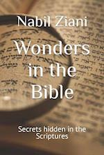 Wonders in the Bible: Secrets hidden in the Scriptures 