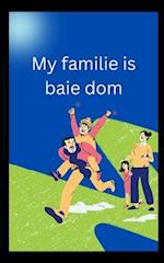 My familie is baie dom