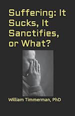 Suffering: It Sucks, It Sanctifies, or What? 