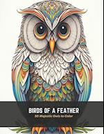 Birds of a Feather: 50 Majestic Owls to Color 