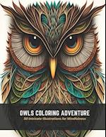 Owls Coloring Adventure: 50 Intricate Illustrations for Mindfulness 
