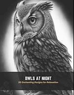 Owls at Night: 50 Enchanting Designs for Relaxation 