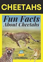 Cheetahs: Fun Facts About Cheetahs 