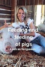 Feeding and feeding of pigs 