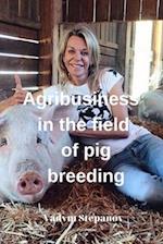 Agribusiness in the field of pig breeding 