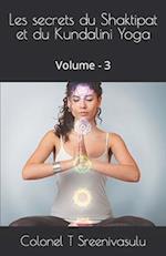 Les secrets du Shaktipat et du Kundalini Yoga