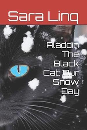 Aladdin The Black Cat: Our Snow Day