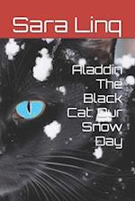 Aladdin The Black Cat: Our Snow Day 