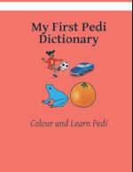 My First Pedi Dictionary : Color and Learn Pedi: Pedi - English 