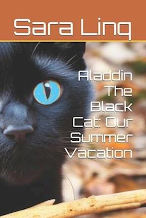 Aladdin The Black Cat: Our Summer Vacation