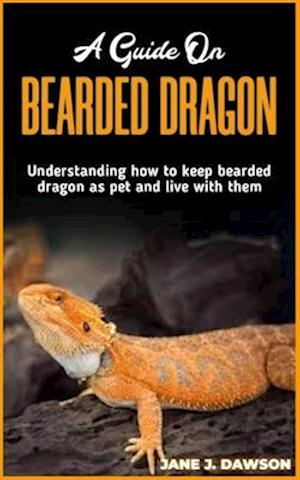 A Guide on BEARDED DRAGON: Understanding how to keep bearded dragon as pet and live with them