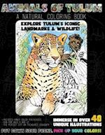 Animals of Tulum: a Natural Coloring Book 