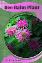 Bee Balm Plant: Plant overview and guide 