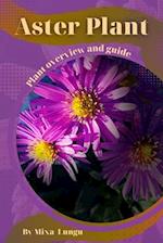 Aster Plant: Plant overview and guide 