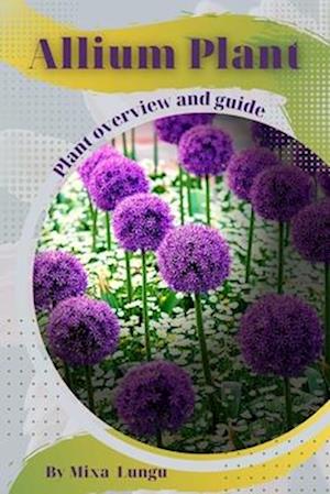 Allium Plant: Plant overview and guide